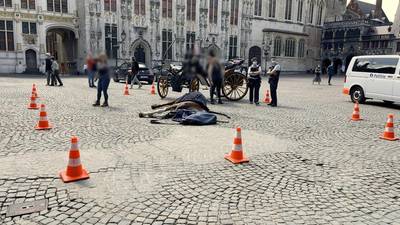 Un cheval de trait s'effondre et meurt en pleine sortie à Bruges: “Un drame inexplicable”
