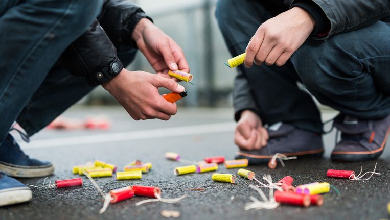 Halt En Boete Voor Wie Vuurwerk Afsteekt In Buurt Van Amsterdamse Dieren Het Parool