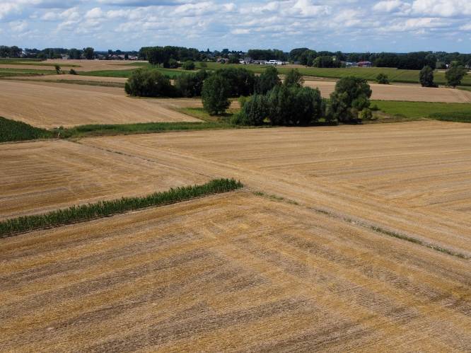 Vlaamse regering erkent droogte van 2022 als ramp