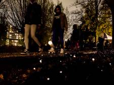 Wereldprimeur op Zuid: planten geven licht