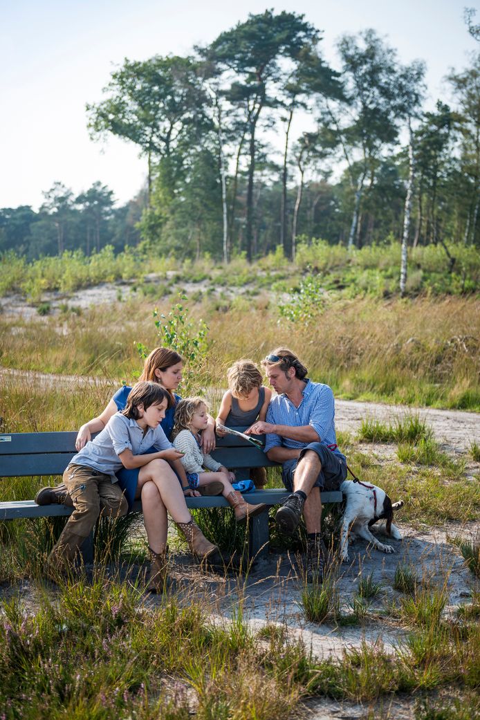 Op de Kalmthoutse Heide staan verschillende bankjes langsheen de wandelpaden.