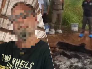 Un Belge tué et brûlé par un compatriote en Thaïlande: le meurtrier présumé est passé aux aveux