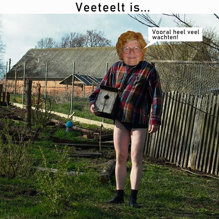 null Beeld Gummbah