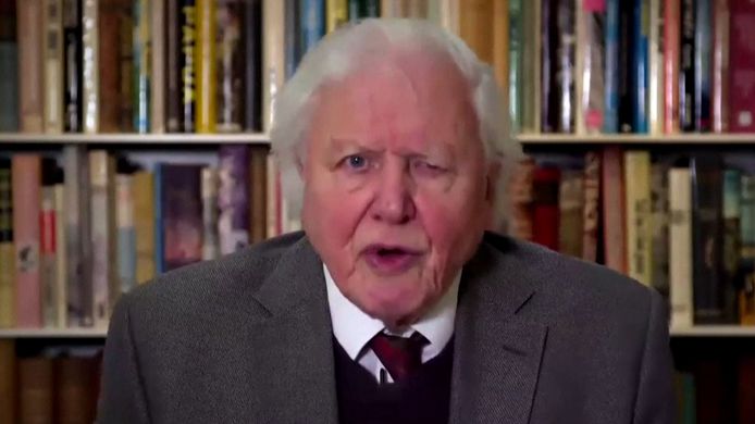 Sir David Attenborough waarschuwt voor klimaatverandering op de Veiligheidsraad van de Verenigde Naties.