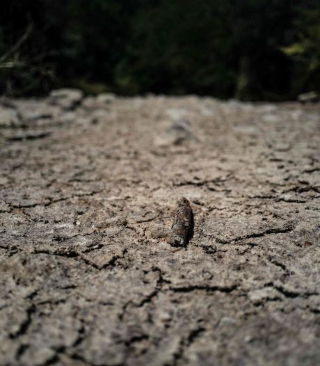 “Du jamais vu”: la France touchée par une sécheresse hivernale