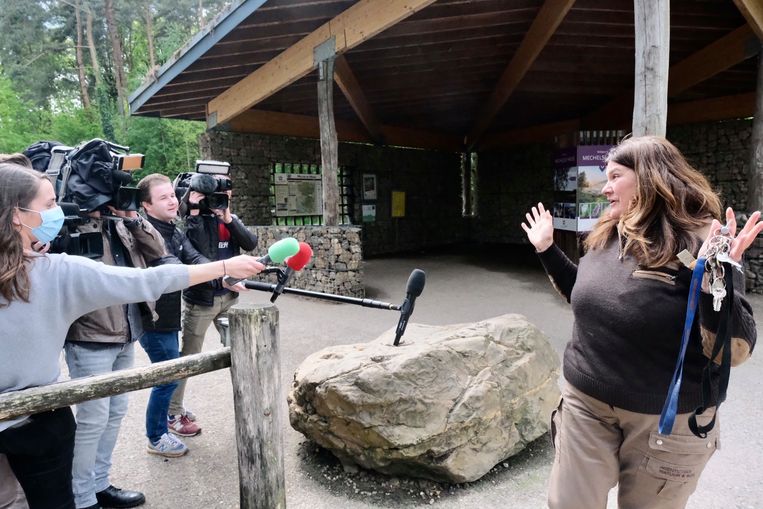The Hoge Kempen National Park is closed. Image Tim Dirven