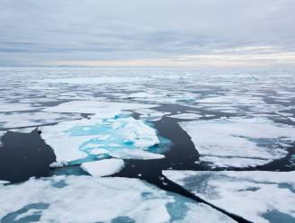 Het zee-ijs rond de Noordpool bereikt jaarlijkse maximum: “Maar tegen 2050 kunnen we al periodes zónder ijs ervaren”