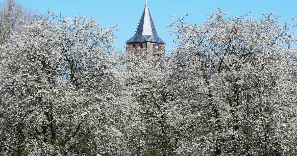De Betuwe heeft er nog een parel bij: Zoelen