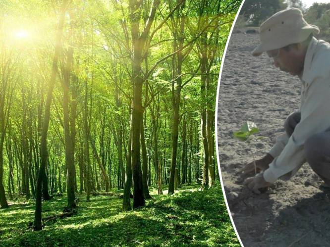 40 jaar lang plantte hij elke dag een boom. Nu leven er neushoorns, tijgers en olifanten in zijn bos