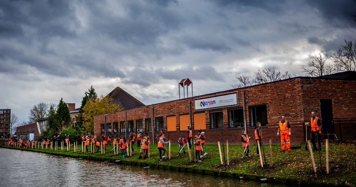 Leerlingen van basisscholen SOL Villa Ambacht en de Tweestroom plantten zestig knotwilgen.