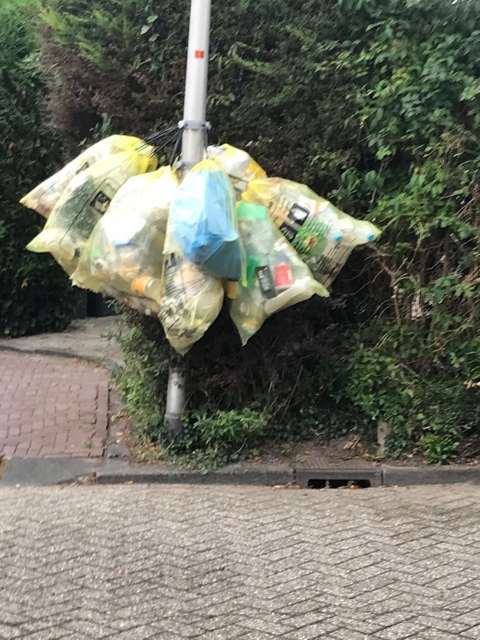 Klein Verblinding parachute Direct stoppen met plastic afvalzakken aan lantaarnpalen' | Afvalbeleid  Westland | AD.nl