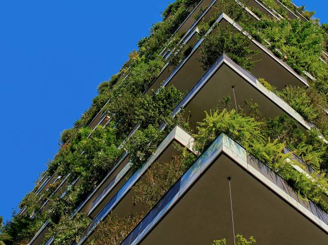 Groen dak aanleggen? Kom naar gratis infoavond op 6 juni in Hasselt
