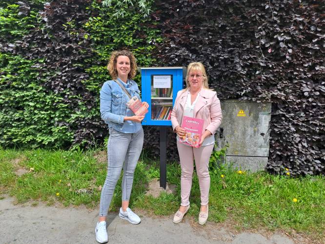 Voor elke deelgemeente een boekenruilkastje in Zedelgem