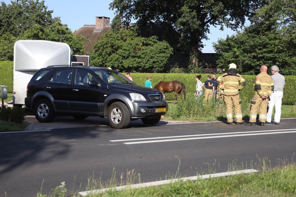 Een paard raakte gewond bij een ongeluk in Boekel.