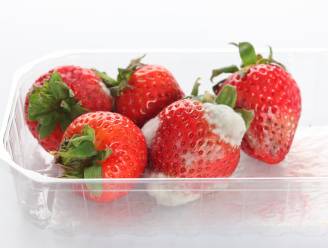 Als één stuk fruit beschimmeld is, moet je dan het hele doosje weggooien?