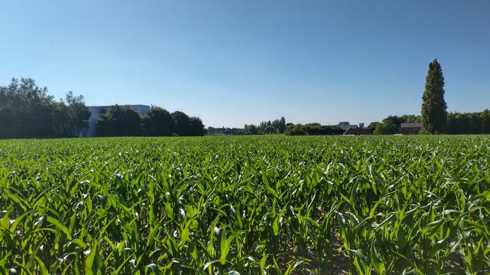 Dit uitzicht verdwijnt binnen enkele jaren als de stad haar plannen doorzet.