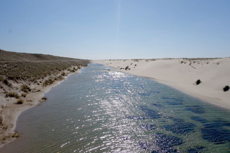 Duinen kunnen moeiteloos meegroeien met een stijgende zeespiegel. Beeld Joop Bouma