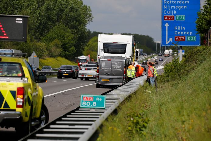 Foto ter illustratie.