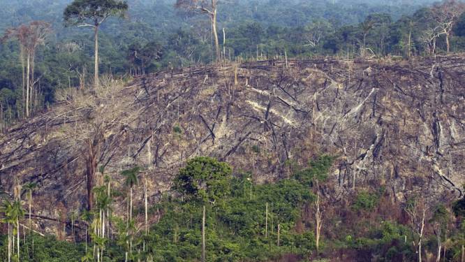 Duitsland schenkt 200 miljoen euro voor bescherming Amazonewoud in Brazilië