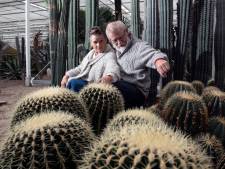 Anny zielsgelukkig met nieuwe stek in Burgers’ Zoo en botanische tuin: ‘Mijn cactus-kinderen krijgen een tweede leven!’