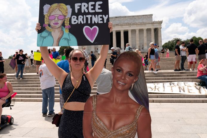 Fans demonstreren om het beëindigen van de situatie waar Britney Spears in zit, met onder meer een kartonnen variant van hun idool.