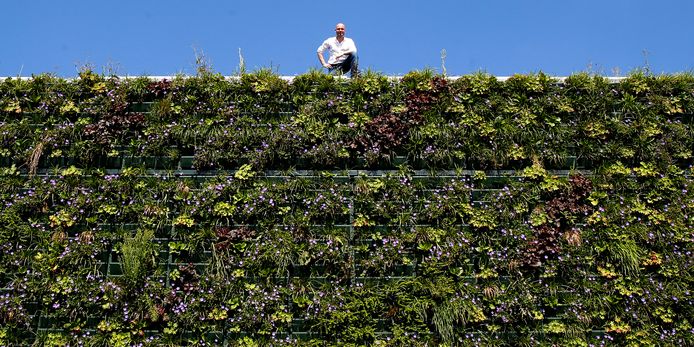 Martin Klop boven op het dak van zijn bedrijfsverzamelgebouw met onder hem de honderden plantjes.