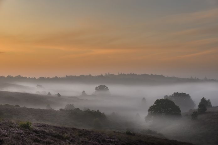 ‘Heide in de mist’, de prijswinnende foto van de 11-jarige Sem Scheerder uit Rheden