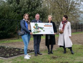 Troostplek op begraafplaats Opdorp uitgeroepen tot mooiste koesterplek van België