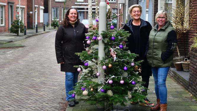 27 kerstbomen brengen buren bij elkaar in Roosendaal