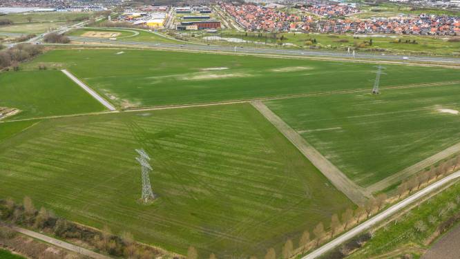 Bunzing, hermelijn en kerkuil moeten plaatsmaken voor bedrijven