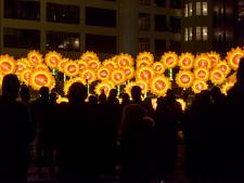 Eindhoven profiteert van Glow maar het mag nog meer een festival zijn