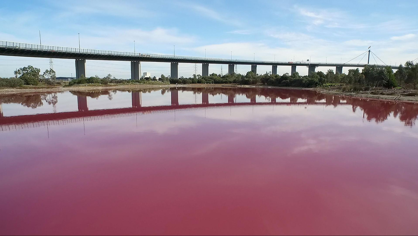 Красное озеро в Ираке. Кровавое озеро в Ираке. Красный водоем. Мельбурн розовое озеро.