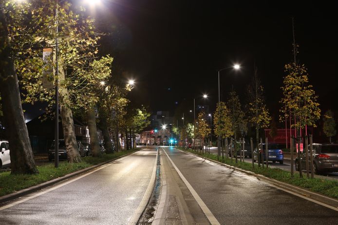 Volgende week zal men de bomen snoeien.