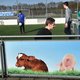 Hoe de vrijwilliger steeds professioneler wordt