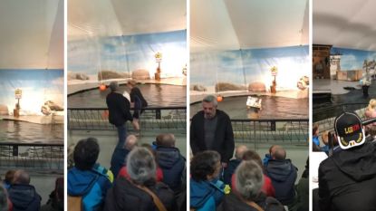 VIDEO. Dierenrechtenactivisten verstoren zeeleeuwenshow in Antwerpse zoo: "Shows worden tijdelijk geschrapt"