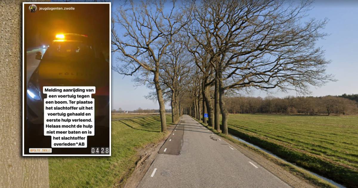 Man uit Deventer komt om het leven door botsing tegen boom in Dalfsen.