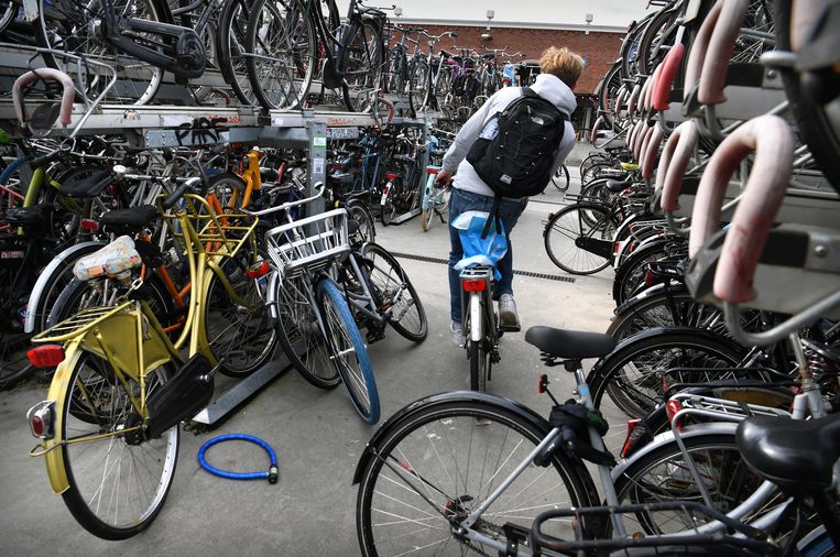 Diefstal van fietsen met 735 per jaar veel hoger dan gedacht: vooral goedkope fietsen gestolen