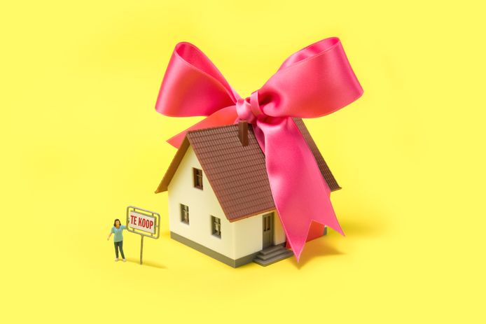 Twee graden Herstellen reactie Huis verkopen? Met deze tips heb je geen makelaar nodig | Economie | AD.nl