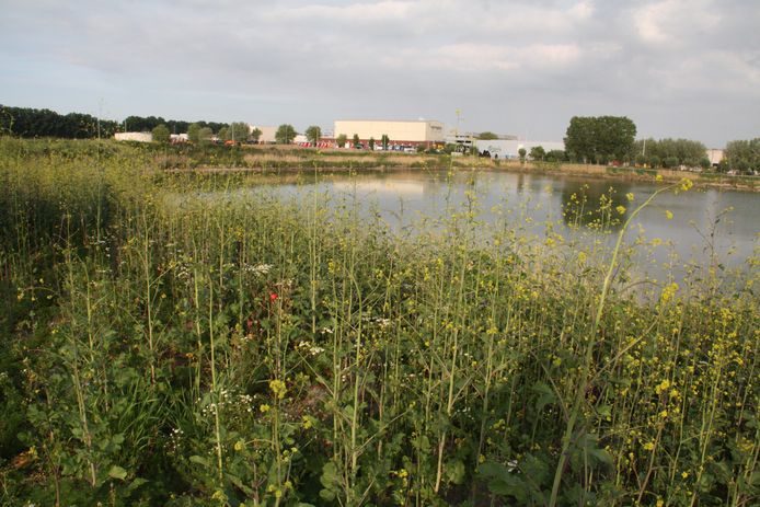 Het natuurgebied Suikerwater in het stadsdeel Suikerpark in Veurne is open.