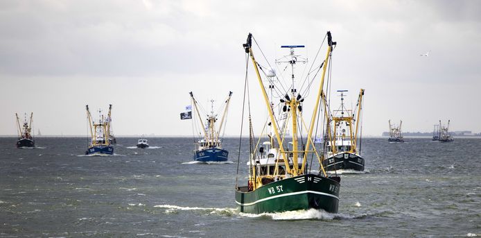IJsselmeerkotters, garnalenkotters en Noordzeekotters varen in protest langs de Afsluitdijk om samen te komen bij Breezanddijk. De vissers protesteren tegen windmolens die beslag leggen op hun viswateren.