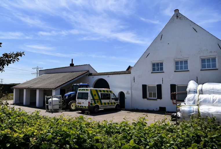 De hoeve in Linne. waar tientallen arbeidsmigranten werden gehuisvest onder erbarmelijke omstandigheden.  Beeld Marcel van den Bergh / de Volkskrant