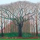 De werken van David Hockney in Brussel schitteren van zinderende energie en durf ★★★★☆