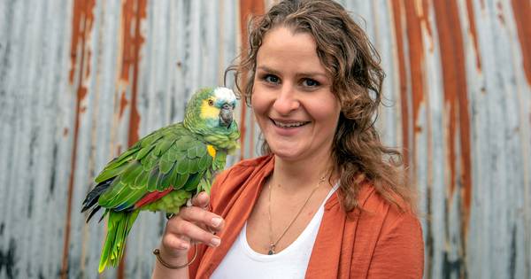 Papegaai Fladder kan blaffen als een hond: 'Middenin een romantisch lied begon het' - De Gelderlande