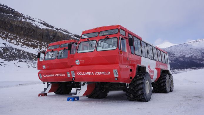 De speciaal geprepareerde toeristenbussen waarmee de zogenoemde 'sneeuwtours' in het Canadese Jasper National Park worden uitgevoerd.