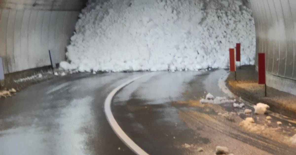Fiamminghi nella neve in Italia: “Barriere paravalanghe si avvicinano alle strade” |  All'estero