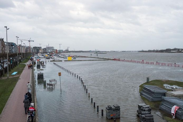 De Schelde was gisteren een tijdlang tientallen meters breder. De zone achter de waterkeringsmuur liep helemaal onder water.