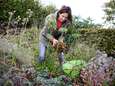 Actieplan voor november: zo maak je je tuin helemaal klaar voor de winter 