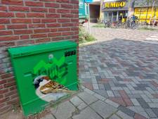 Pinksteren 2024 in Eindhoven: dit zijn de openingstijden van de supermarkten