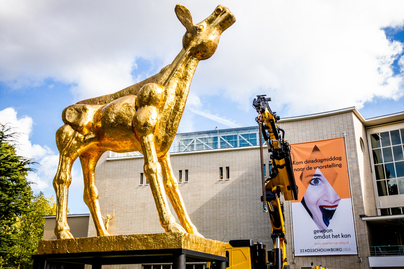 Gratis films kijken bij Janskerk in Utrecht tijdens het Nederlands Film  Festival | Foto | AD.nl