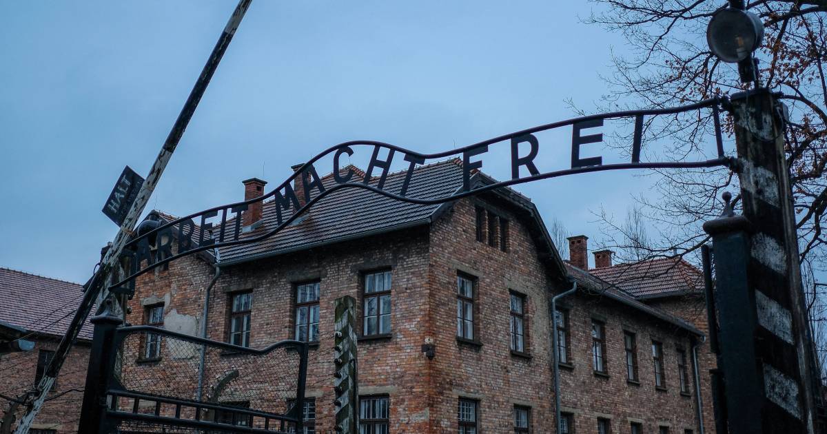 Directeur kamp Westerbork diep onder indruk van Auschwitz-film: ‘Je voelt en hoort de gruwelen’